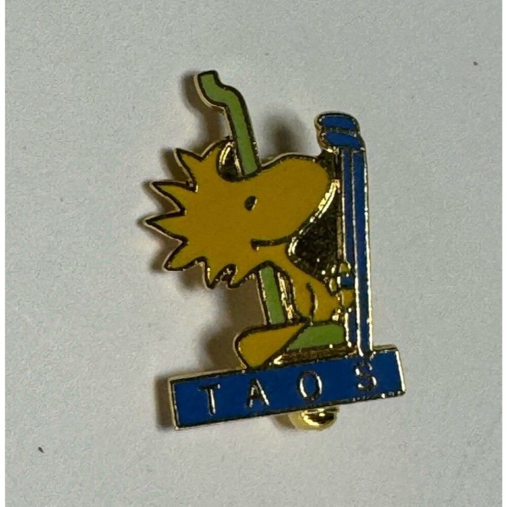 VTG United Feature Peanuts Woodstock Bird Taos Ski Skier Skiing Enamel Pin Rare